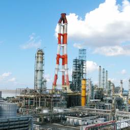 Fuji Oil’s Characteristics and Strengths